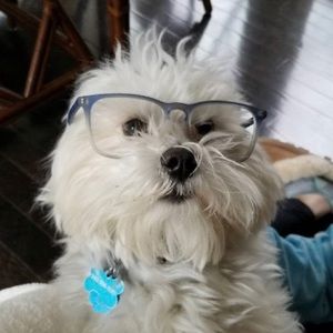 Meet your Posher, Helen